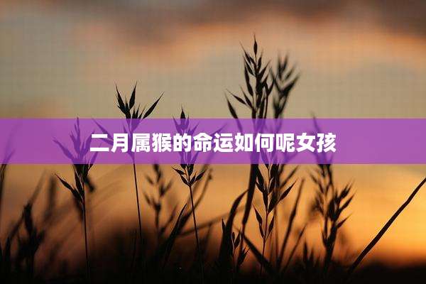 二月属猴的命运如何呢女孩