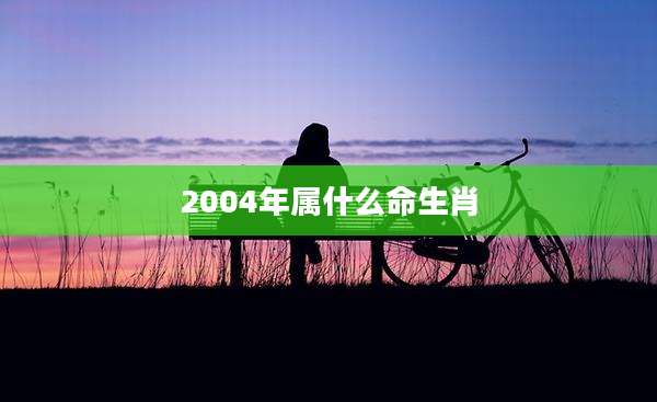2004年属什么命生肖