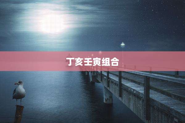 丁亥壬寅组合
