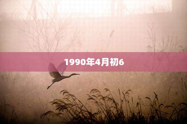 1990年4月初6
