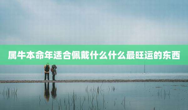 属牛本命年适合佩戴什么什么最旺运的东西