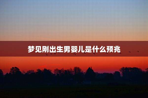 梦见刚出生男婴儿是什么预兆
