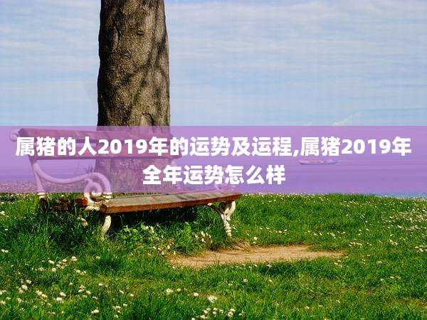 属猪的人2019年的运势及运程,属猪2019年全年运势怎么样