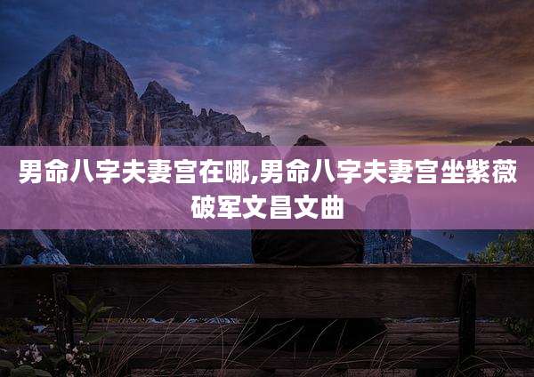 男命八字夫妻宫在哪,男命八字夫妻宫坐紫薇破军文昌文曲