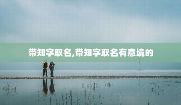 带知字取名,带知字取名有意境的