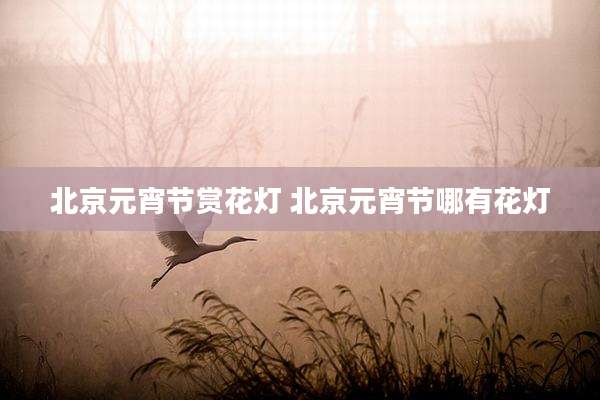 北京元宵节赏花灯 北京元宵节哪有花灯