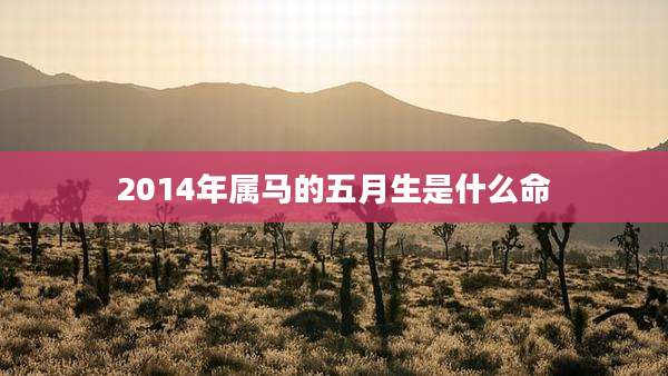 2014年属马的五月生是什么命