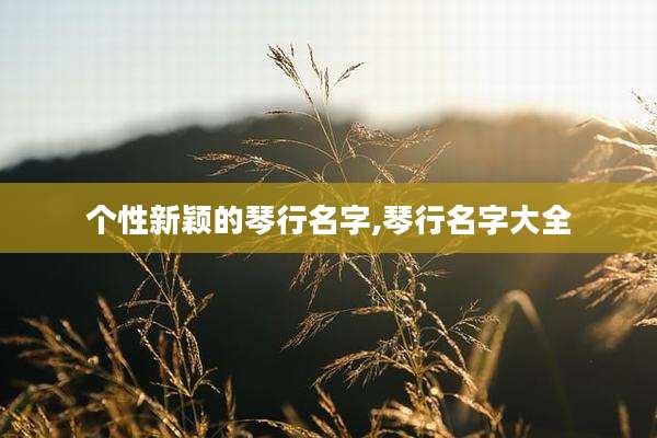 个性新颖的琴行名字,琴行名字大全