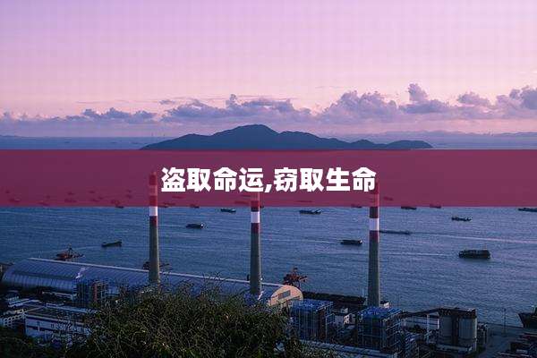 盗取命运,窃取生命