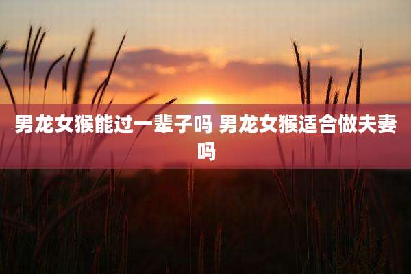 男龙女猴能过一辈子吗 男龙女猴适合做夫妻吗