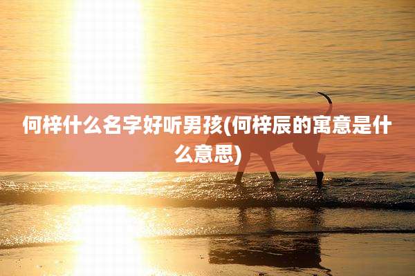 何梓什么名字好听男孩(何梓辰的寓意是什么意思)