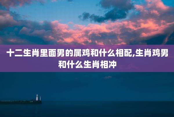 十二生肖里面男的属鸡和什么相配,生肖鸡男和什么生肖相冲
