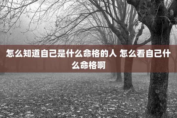 怎么知道自己是什么命格的人 怎么看自己什么命格啊