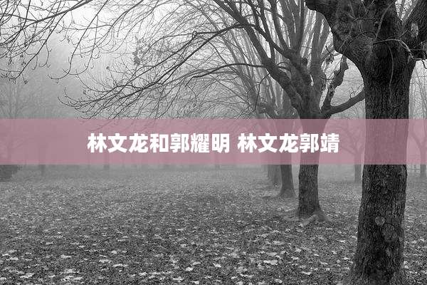 林文龙和郭耀明 林文龙郭靖