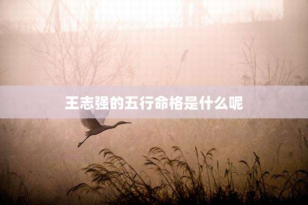 王志强的五行命格是什么呢