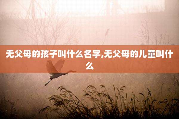 无父母的孩子叫什么名字,无父母的儿童叫什么