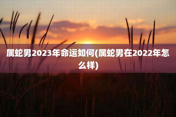 属蛇男2023年命运如何(属蛇男在2022年怎么样)