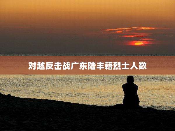 对越反击战广东陆丰籍烈士人数