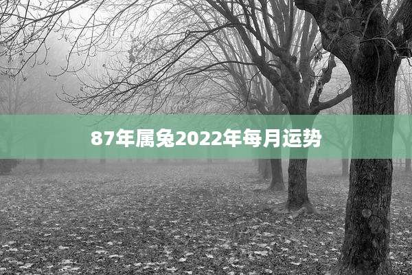 87年属兔2022年每月运势