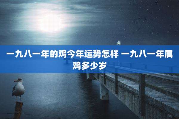 一九八一年的鸡今年运势怎样 一九八一年属鸡多少岁