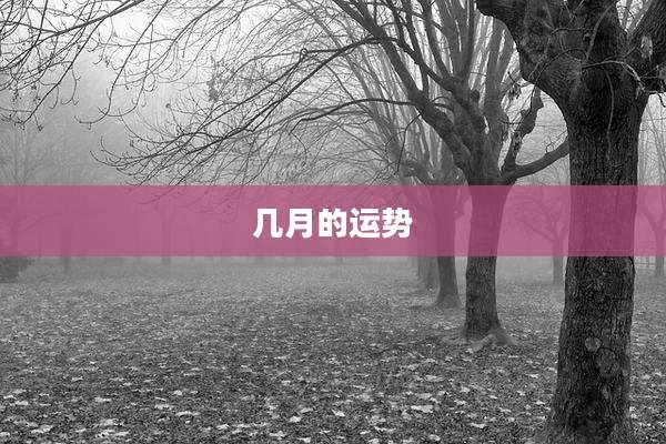 几月的运势