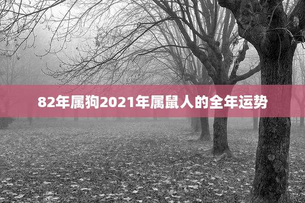 82年属狗2021年属鼠人的全年运势