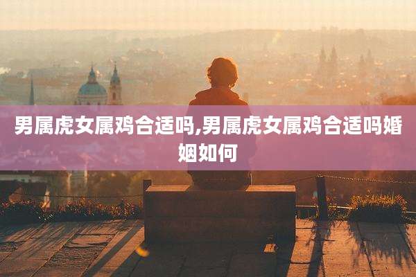 男属虎女属鸡合适吗,男属虎女属鸡合适吗婚姻如何