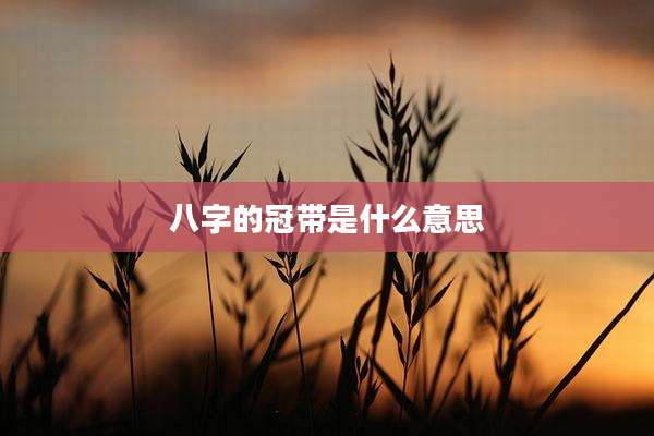 八字的冠带是什么意思
