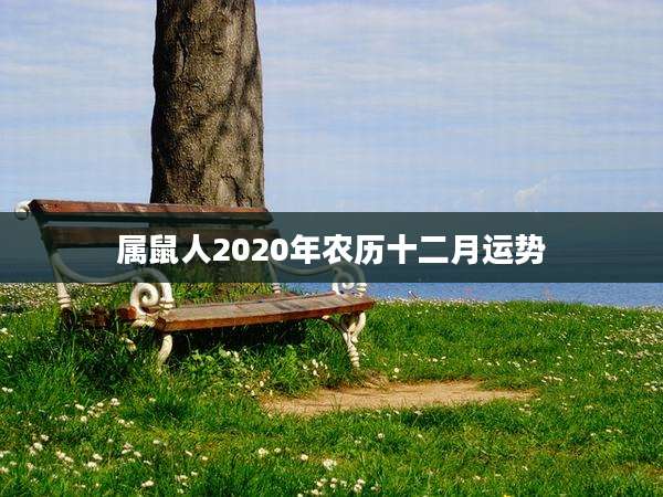 属鼠人2020年农历十二月运势