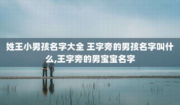 姓王小男孩名字大全 王字旁的男孩名字叫什么,王字旁的男宝宝名字