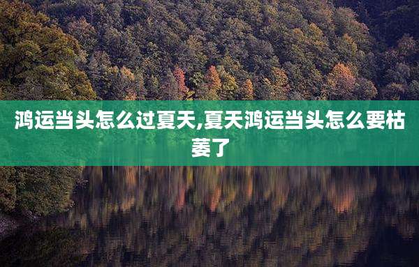 鸿运当头怎么过夏天,夏天鸿运当头怎么要枯萎了