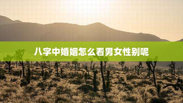 八字中婚姻怎么看男女性别呢