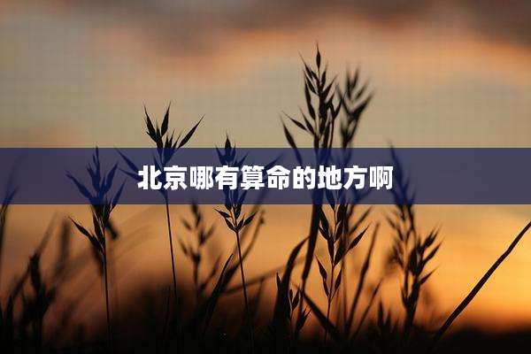 北京哪有算命的地方啊