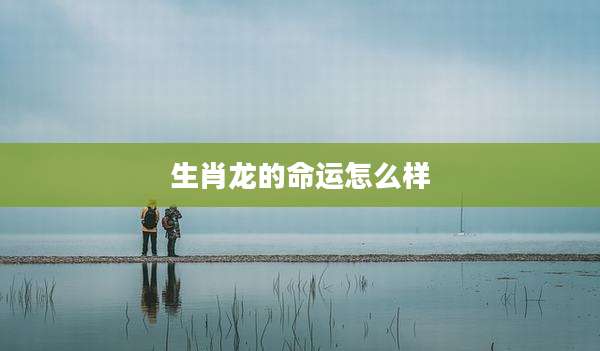 生肖龙的命运怎么样
