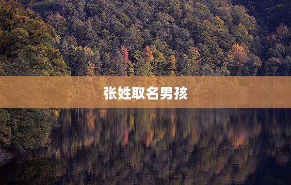 张姓取名男孩