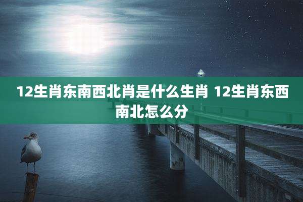 12生肖东南西北肖是什么生肖 12生肖东西南北怎么分