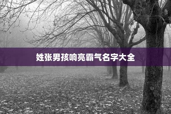 姓张男孩响亮霸气名字大全