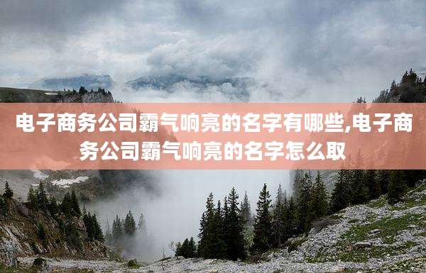 电子商务公司霸气响亮的名字有哪些,电子商务公司霸气响亮的名字怎么取