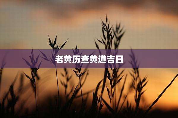 老黄历查黄道吉日