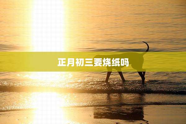 正月初三要烧纸吗