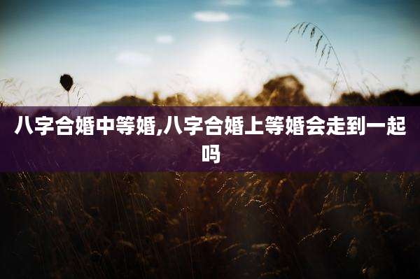 八字合婚中等婚,八字合婚上等婚会走到一起吗
