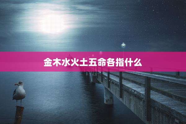 金木水火土五命各指什么