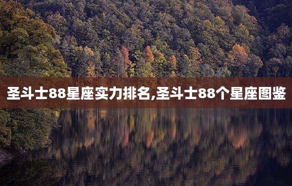 圣斗士88星座实力排名,圣斗士88个星座图鉴