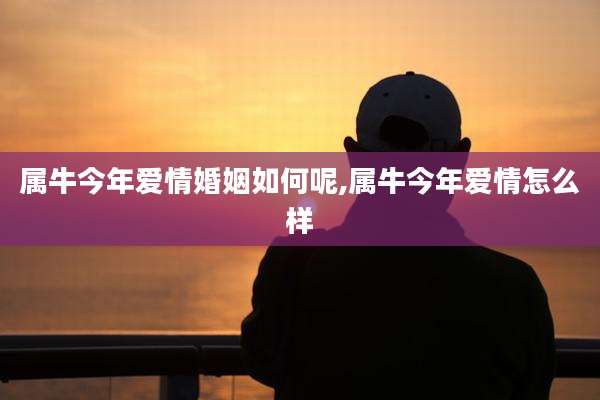 属牛今年爱情婚姻如何呢,属牛今年爱情怎么样
