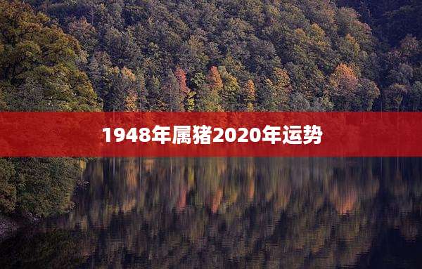 1948年属猪2020年运势