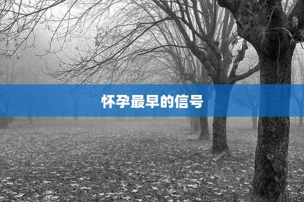 怀孕最早的信号