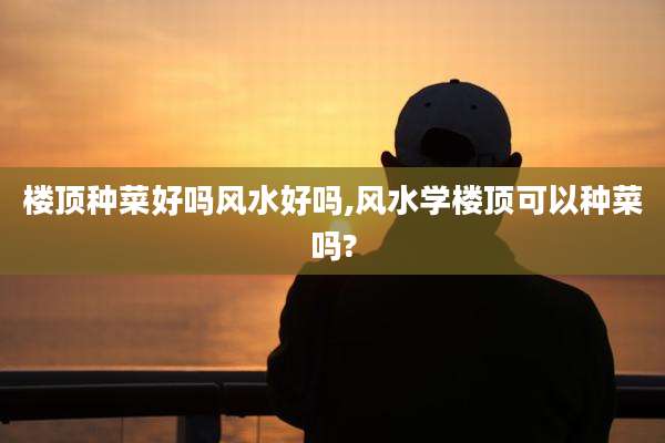 楼顶种菜好吗风水好吗,风水学楼顶可以种菜吗?