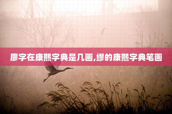 廖字在康熙字典是几画,缪的康熙字典笔画