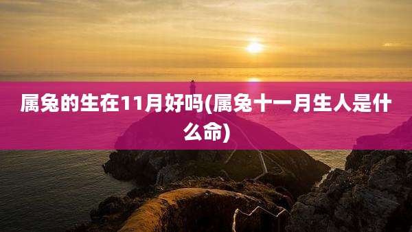 属兔的生在11月好吗(属兔十一月生人是什么命)