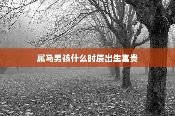 属马男孩什么时辰出生富贵